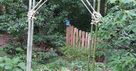 Create A Bamboo Pergola Arbor For 10 Hometalk