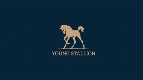 Stallion Logo And Identity For Sale On Behance