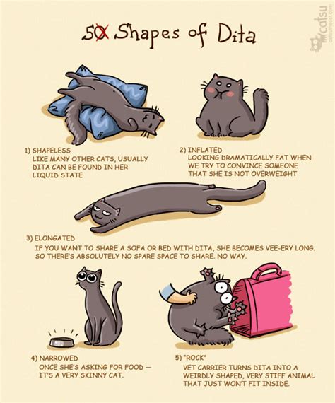 Comics That Purrfectly Sum Up Life With Cats