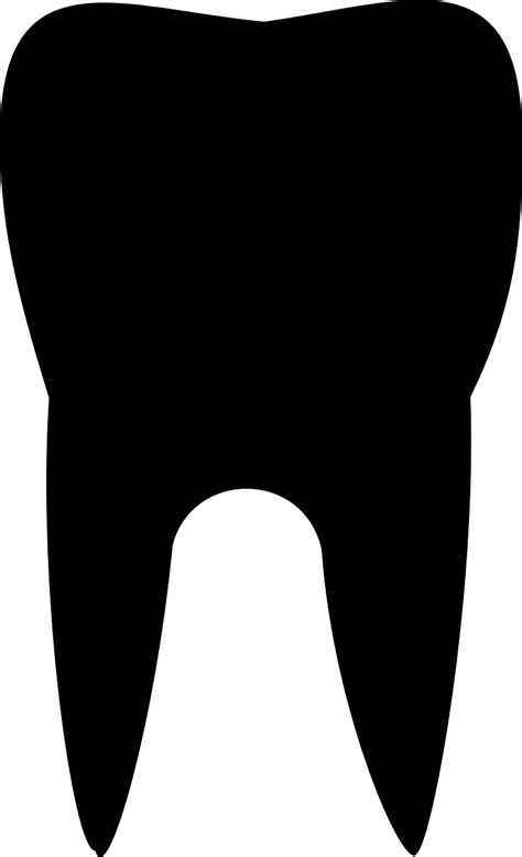 Tooth Molar Transparent Background Png Shiny Tooth Realistic Healthy