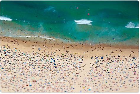 Colours Of Bondi Aquabumps Beach Combing Birds Eye Beach Life