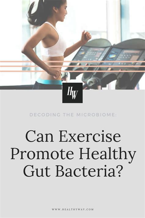 Decoding The Microbiome Can Exercise Promote Healthy Gut Bacteria