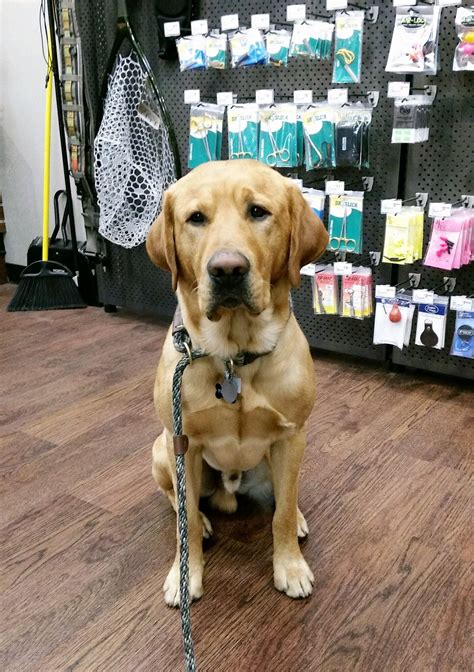 We are locally owned and operated and conveniently located at 1627. You know you're in Bozeman when EVERY BUSINESS ON MAIN STREET HAS A DOG, ALLOWS DOGS, OR GIVES ...