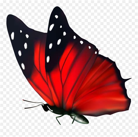 Transparent Red Butterfly Png Clipart 5764741 Pinclipart