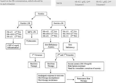 Figure 1 From Diagnosis And Treatment Of Iron Deficiency Anemia During