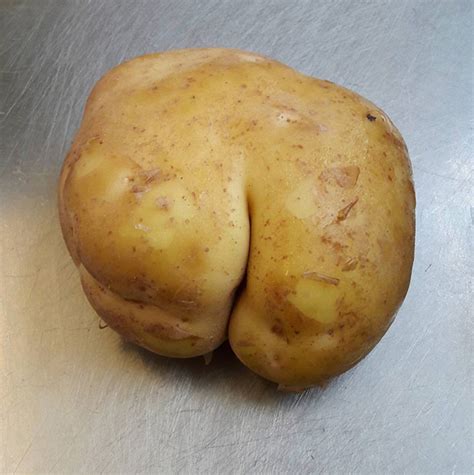 The Worlds Greatest Gallery Of Potato Butts