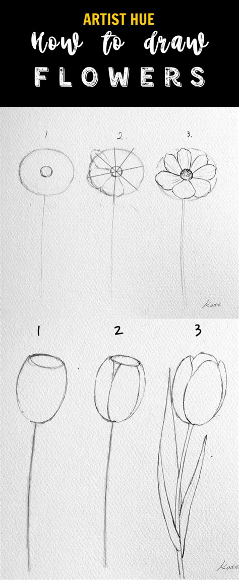 Simple Pencil Drawing Pictures Step By Step Free Mock Up