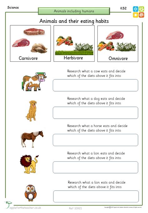Animals Eating Habits Ks2 Apple For The Teacher Ltd