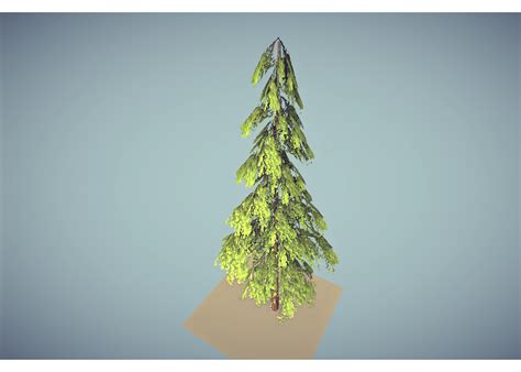 Low Poly Pine Tree 3d Models In Small Plants 3dexport