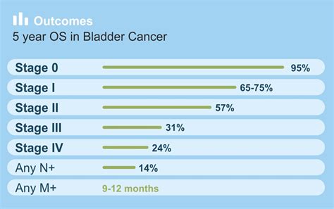 Bladder Cancer Guidelines Cancer Therapy Advisor