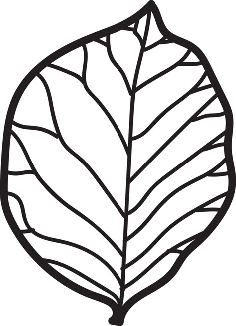 Simplicity Leaf Freehand Continuous Line Drawing Flat Design 11461121 Png