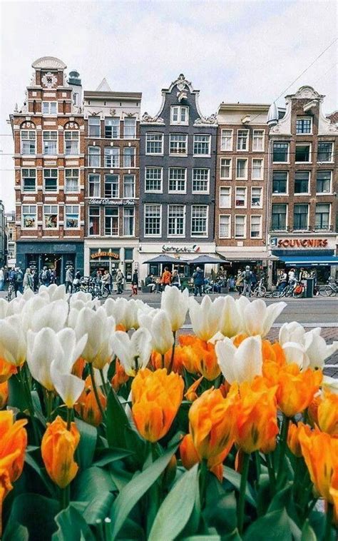 Spring In Amsterdam Amsterdam Travel Places To Travel Travel