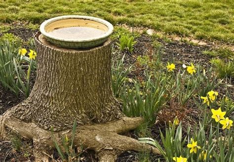 Tree Stump Ideas 5 Things You Can Make Bob Vila
