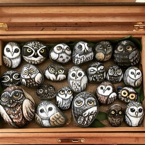 Painted Rock Owls By Trinh Baxter Painted Rocks Owls Owl Rocks Roche