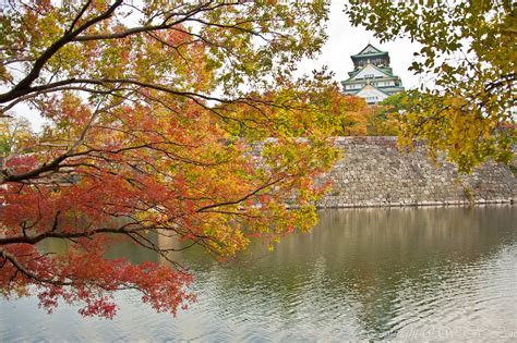 Osaka castle is the biggest attraction in osaka, and one of the top castles in japan. Osaka Castle Nishinomaru Garden - Autumn. | Lovely garden ...