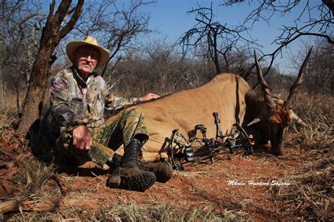 Bow Hunting Eland Mkulu African Hunting Safaris