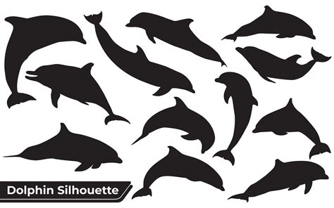 Collection Of Animal Dolphin Silhouette Illustration Par Adopik