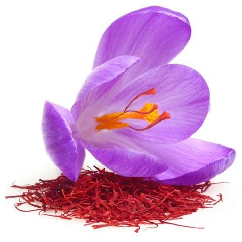 Surprising Health Benefits Of Saffron Zafran By Herbal Treatment