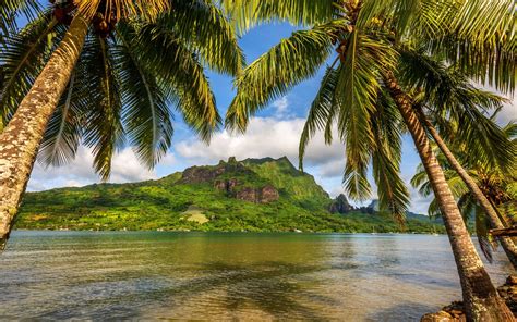 Nature Landscape Clouds Sky Island Bora Bora Palm Trees Sea Bay