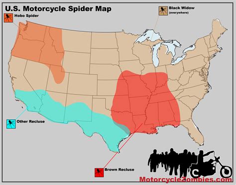 Black Widow Spider Map
