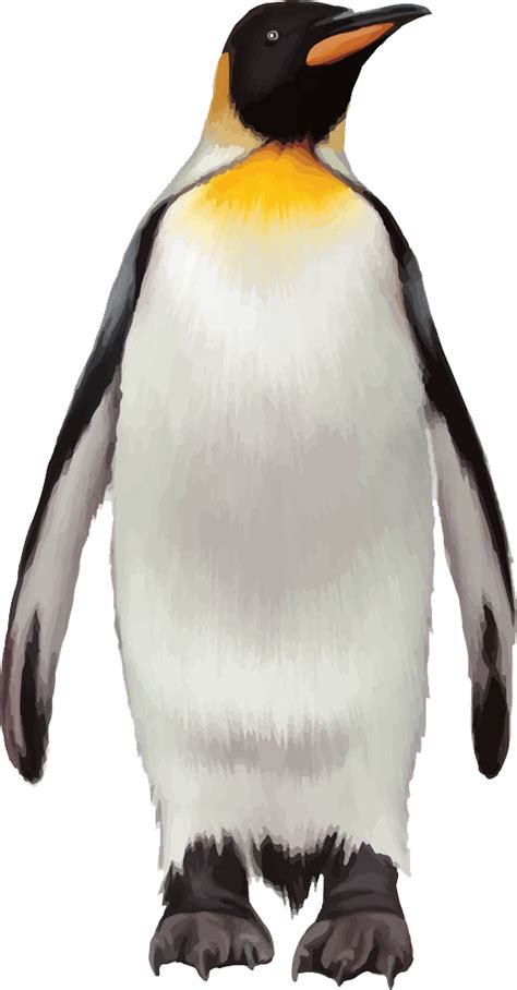 Penguin Transparent Background Png Png Arts