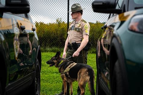 K 9 Unit Police Dogs Vermont State Police