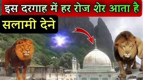 Allah Ke Wali Ki Zinda Karamat Is Dargah Me Sher Aate Hai Salami Dene