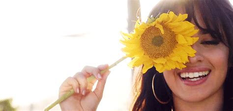 Sonnenblumen Bild Blume Gif Kostenlos Auf Deiner Homepage My XXX Hot Girl