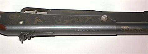 Daisy Gold Medal Pump Bb Gun W Peep Sight For Sale At Gunauction Com