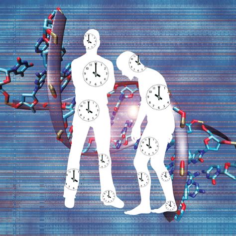 Epigenetic Clock Horvath Clock Wholedude Whole Planet