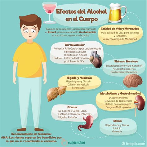 Alcohol Y Sus Efectos En El Cuerpo Artofit
