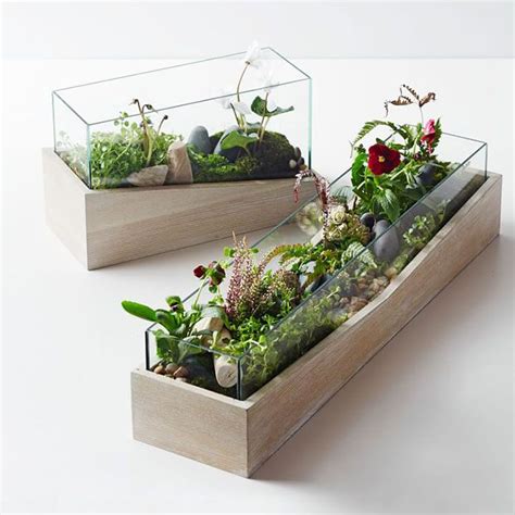 12 Stylish Terrariums To Bring Nature Inside — Eatwell101