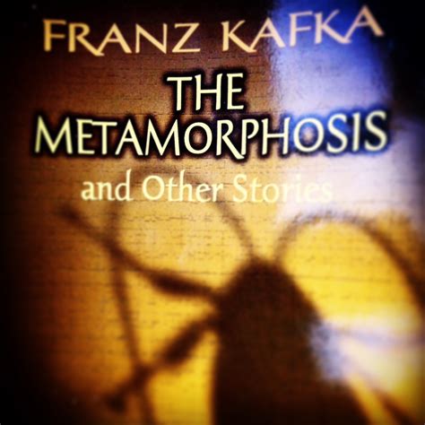 The Metamorphosis By Franz Kafka Professional Moron