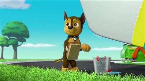 Chasegallerypups Save The Paw Patroller Paw Patrol Wiki Fandom