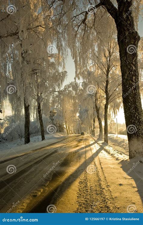 Country Road In The Winter Stock Image Image Of Road 12566197