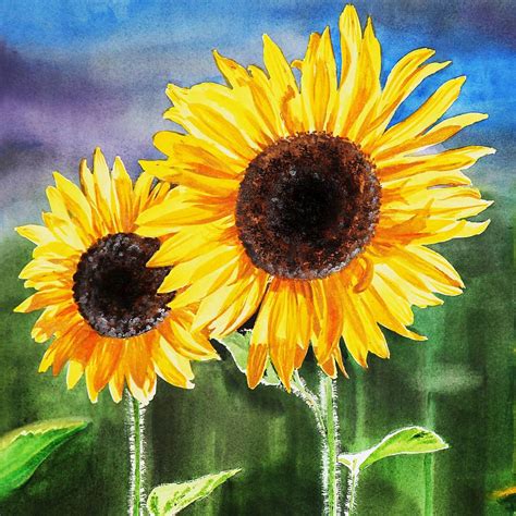 Two Sunflowers Sunflower Art Watercolor Flowers Watercolor Sunflower