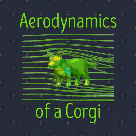 The Aerodynamics Of A Corgi Corgi Aerodynamics