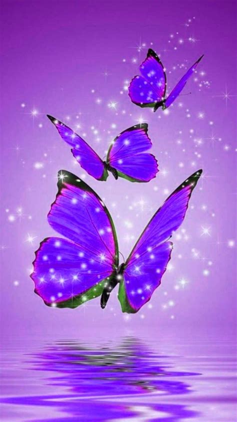 Purple Butterfly Wallpaper Ixpap
