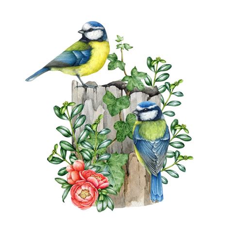 Blue Tit Birds On The Mossy Stump Forest Nature Image Watercolor