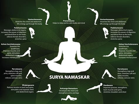 Surya namaskar or sun salutation is a powerful yoga technique that offers several benefits. Yoga Infographics Surya Namaskar Sequence Stock ...