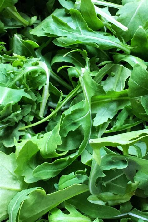 Arugula Health Benefits Facts And Research