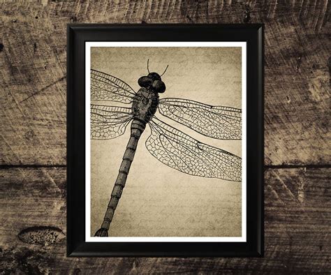 Vintage Dragonfly Art Dragonfly Print Wings Art Dragonfly Etsy