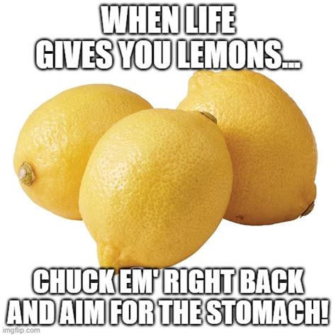 If Life Gives You Lemons Imgflip