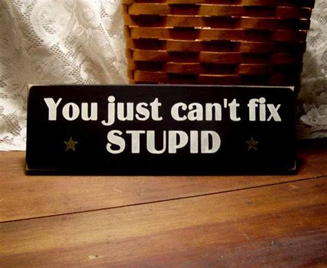 In order to be sexually active off of any sort of contraceptive, you have to pass an iq test, mental exam, drug test (for cocaine, heroine, meth, etc), and some sort of common sense meter. Funny Wood Sign You Just Can't Fix Stupid Wall by CountryWorkshop, $12.00 | Funny wood signs ...