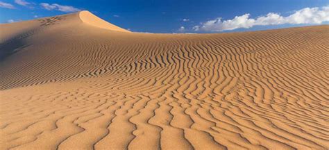 Maspalomas Dunes Nature Reserve Gran Canaria Wild Places