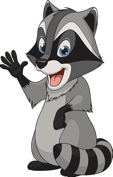 Best Northern Raccoon Illustrations Royalty Free Vector Graphics