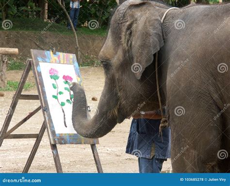 Elephant Painting And X28elephant Intelligence Showand X29 Editorial