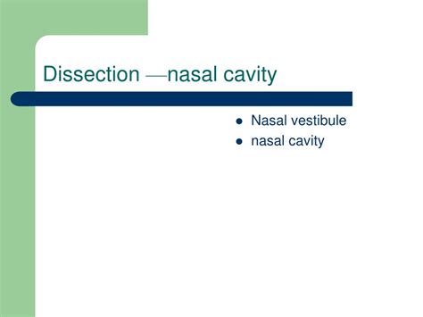 Ppt Rhinology Powerpoint Presentation Free Download Id4454428