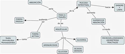 Mapa Conceptual Aparato Digestivo Parte Ii Mapas Conceptuales Mind