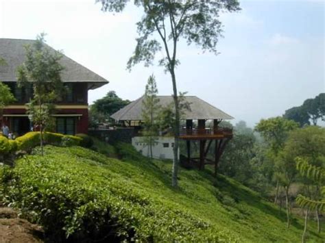 Lokasi wisata alam jogja terbaik dan populer ini di desa wisata nglinggo, nglinggo barat, pagerharjo, samigaluh, kabupaten kulon progo, diy. Kebun Teh Wonosari (Lawang) - 2020 What to Know Before You ...